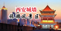 一级大鸡巴中国陕西-西安城墙旅游风景区